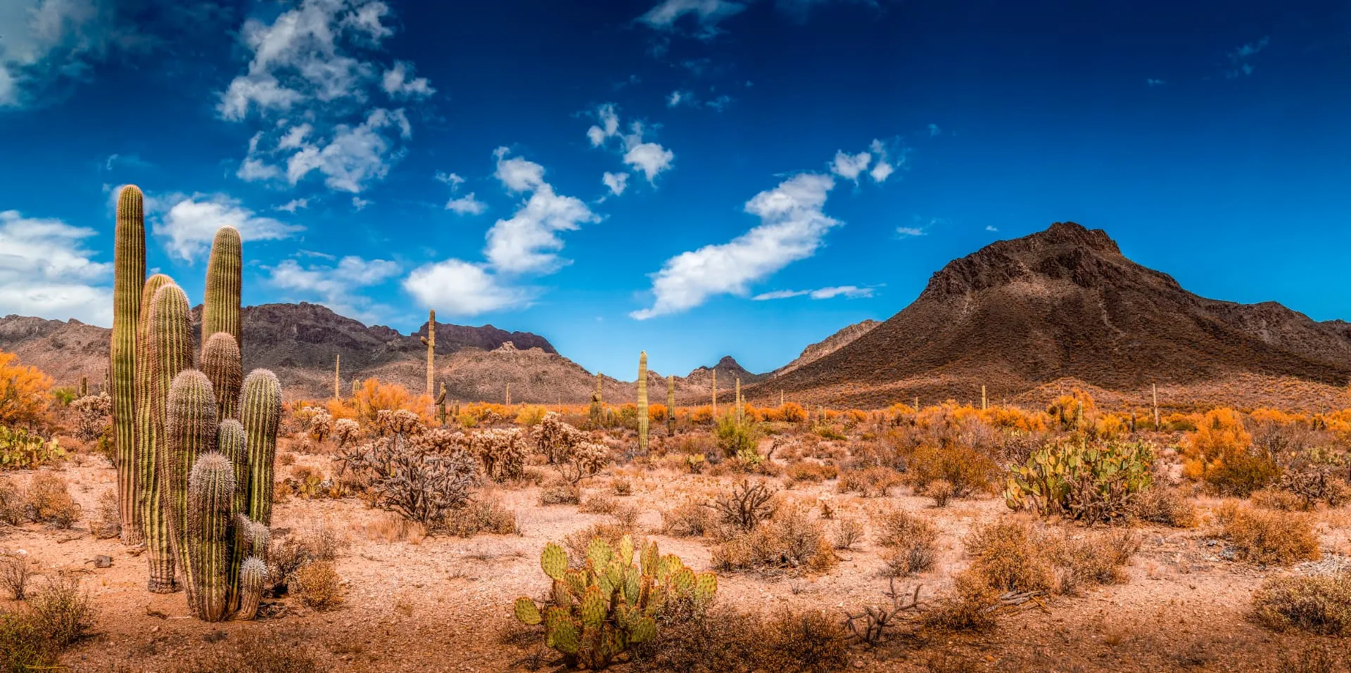 Southern Arizona desert panorama across the Tuc-Town Shotcrete service area